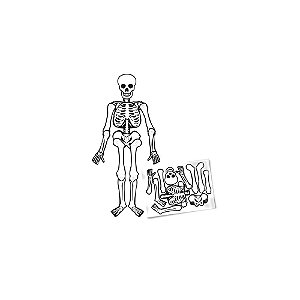 Esqueleto Articulado Decorativo Halloween Pequeno 70cm
