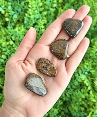 Pedra Rolada Bronzita -  A Pedra da Certeza