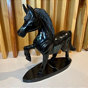 Cavalo Xisto Esmeralda G