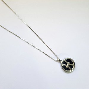 Colar Signo Peixes M - Ródio Branco