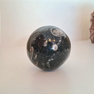 Esfera Fóssil Orthocera Polida