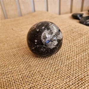Esfera Fóssil Orthocera Polida