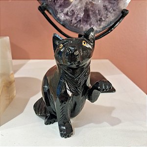 Gato Obsidiana Negra