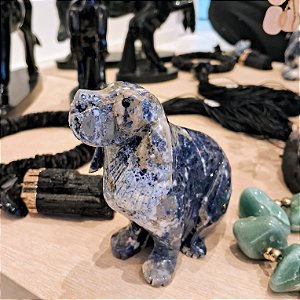 Cachorro Sodalita