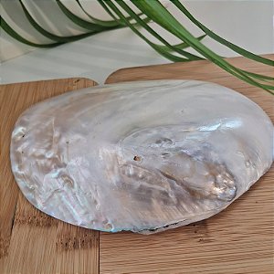 Concha Madrepérola Natural