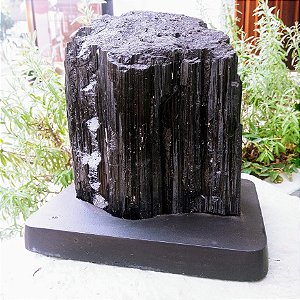 Turmalina Negra GG - Base de Madeira