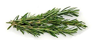 Alecrim  fresco 15 gramas