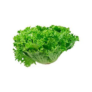 Alface crespa unidade