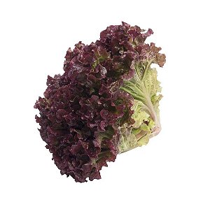 Alface roxa unidade