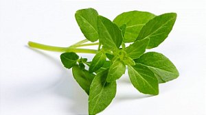 Manjeriquinho fresco 30 gramas