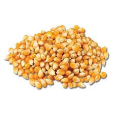 Milho de pipoca a granel