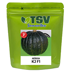 Sementes de Abóbora Híbrida Tetsukabuto K2 -100g - TSV