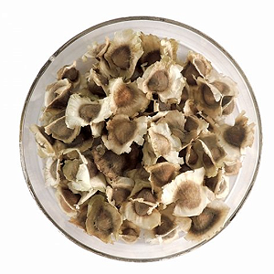 500 Sementes de Moringa