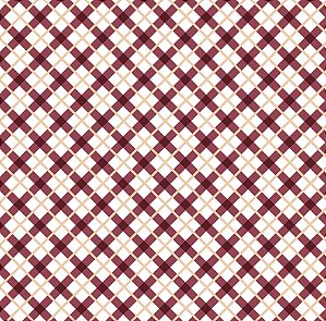 MEU ACONCHEGO XADREZ BÁSICO 180G