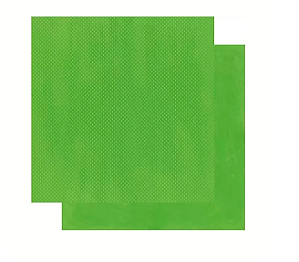 Folha para Scrap Dupla Face Double Dot Wasabi - Bo Bunny