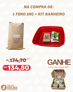 FECHA MÊS: feno 2kg + bandeja higiênica = box mini feno ball