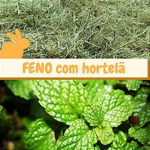 Feno Coast Cross com Hortelã - 500g