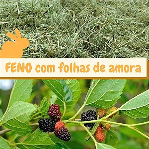 Feno Coast Cross com Folhas de Amora - 500g