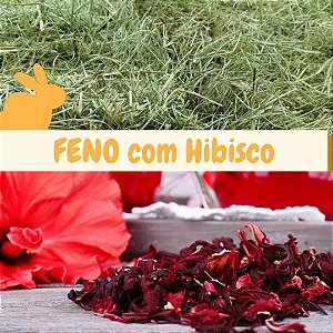 Feno Coast Cross com Hibisco - 500g