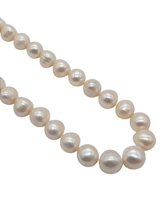 Colar de Pérolas com Fecho de Ímã