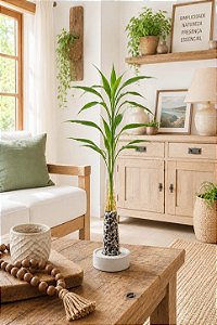 Vaso Bambu da Sorte - Slim