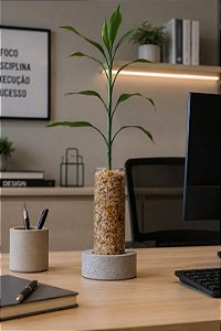 Vaso Bambu da Sorte - Zen Cristal