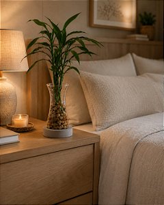 Vaso Bambu da Sorte - Serenity