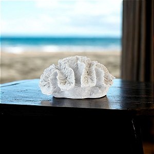 Enfeite Coral Brushed Branco