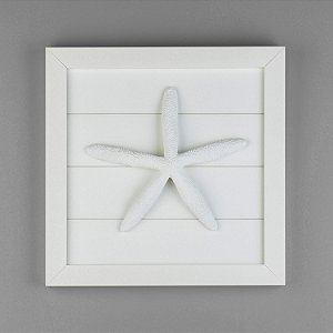 Quadro Estrela Branca C 25cm