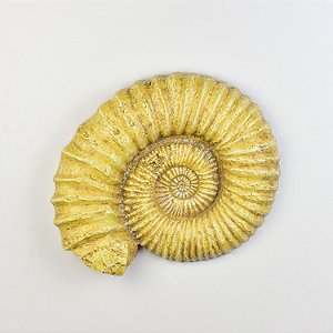 Enfeite Concha Amarela 27 cm