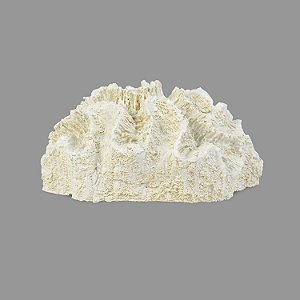 Enfeite Coral Branco