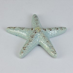 Estrela do Mar Deitada Azul