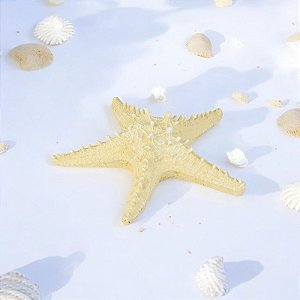 Enfeite Estrela De Mesa Bege 21Cm
