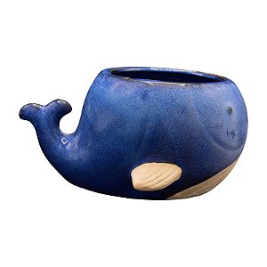 Vaso De Baleia
