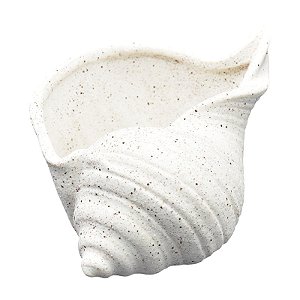 Concha Branco Ceramica