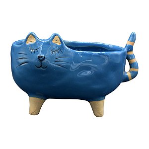 Vasos De Gato Largo Azul