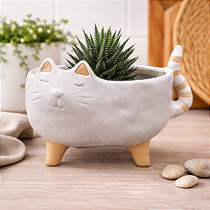 Vasos De Gato Largo Azul