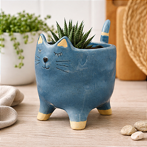 Vaso De Gato Azul