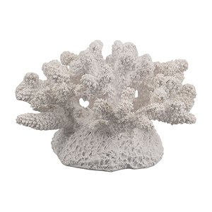 Enfeite Coral Em Resina 19X15