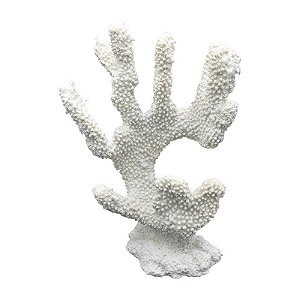 Enfeite Coral Moderno Em Resina