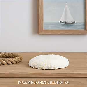 Enfeite Coral Redondo De Parede