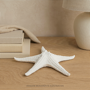 Enfeite Estrela Do Mar Com Textura