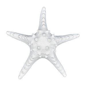 Estrela Do Mar Em Resina Cor Branca