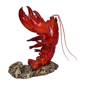 Porta Garrafa De Lagosta Medio