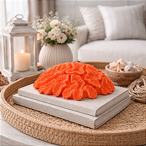 Enfeite Coral De Cerebro Resina Vermelho