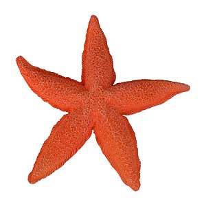 Estrela Do Mar Pontas Curvas Vermelho