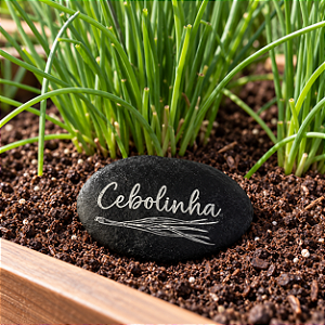 Pedra Decorativa de Resina Cebolinha