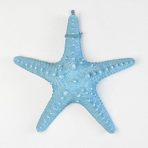 Estrela do Mar Azul G