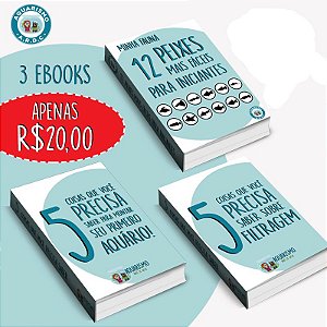 Ebooks Compre 2, Leve 3 - Iniciantes