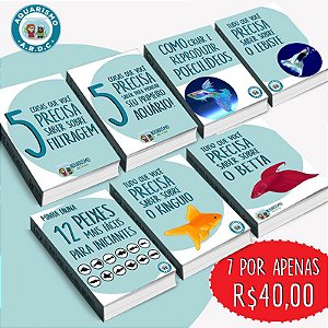 Ebooks Compre 4, Leve 7